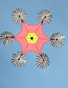 43- Hexaplumes - Joel Goupil w